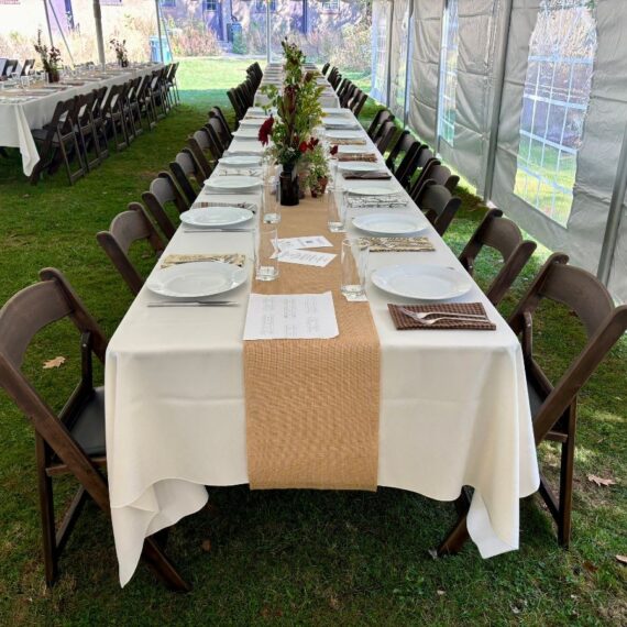 Padded Fruitwood Garden Chairs